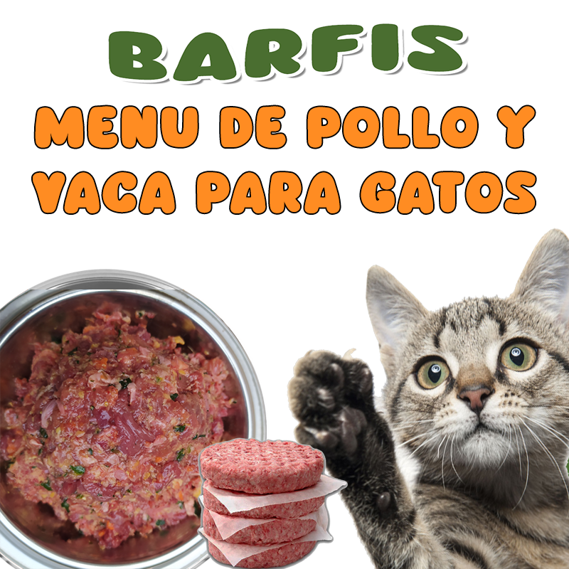 Menú BARF para Gatos de Carne de Vaca